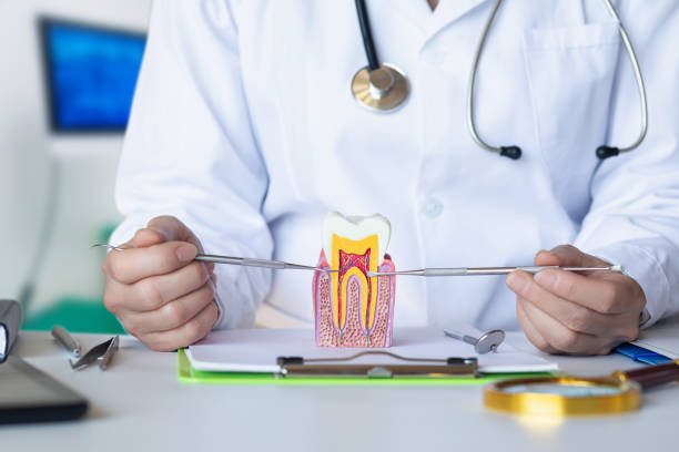 Best Holiday Emergency Dentist in Columbia, IL